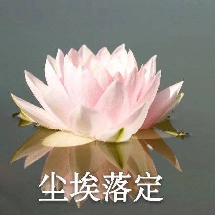 适合家庭群的头像图片精选_8