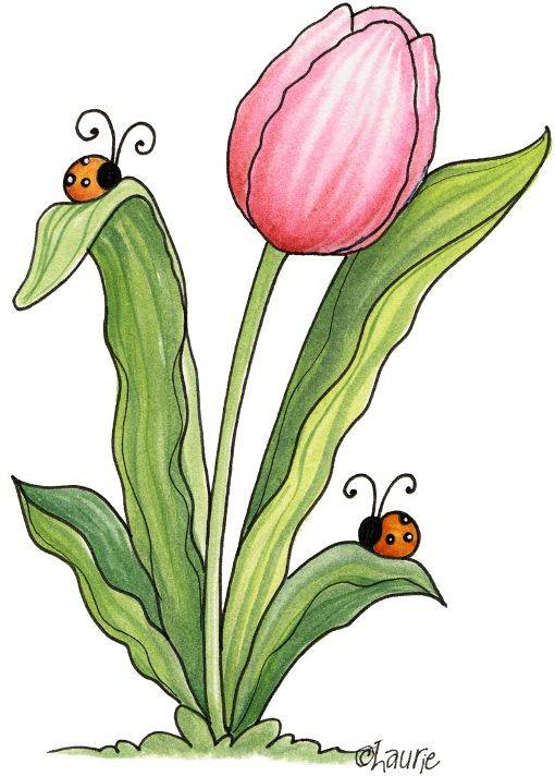 粉色鲜花郁金香花朵简笔画图片大全_4