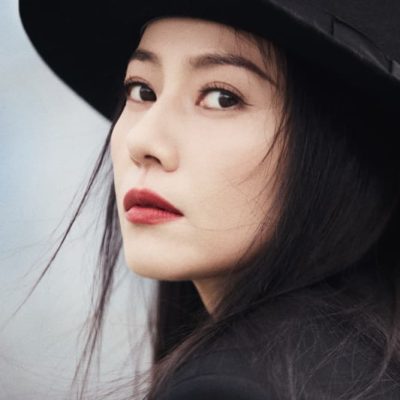高圆圆岁月不败美人具象化了图片