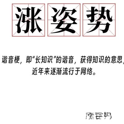 插秧40种图片大全演示