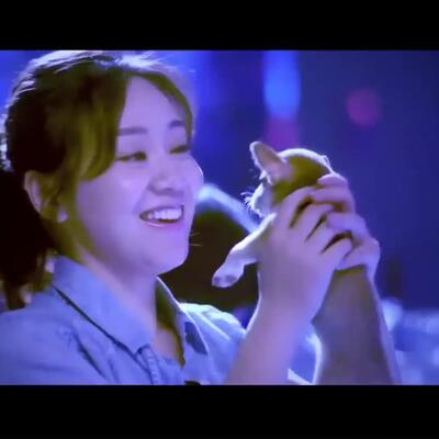 疯狂二十七小时截了一段视频原声